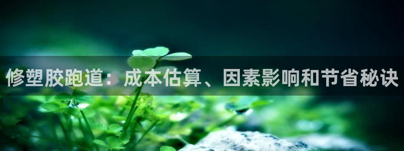 红足一1世官网：修塑胶跑道：成本估算、因素影响和节省秘诀