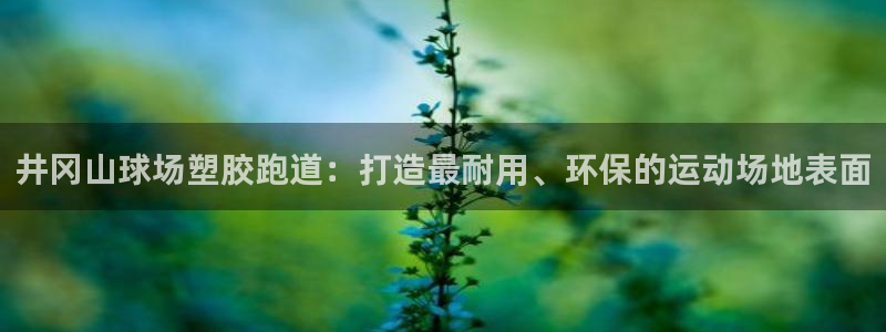 红足一1世官网足球推荐真人：井冈山球场塑胶跑道：打造最耐用、环保的运动场地表面