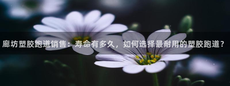 红足1一世红：廊坊塑胶跑道销售：寿命有多久，如何选择最耐用的塑胶跑道？