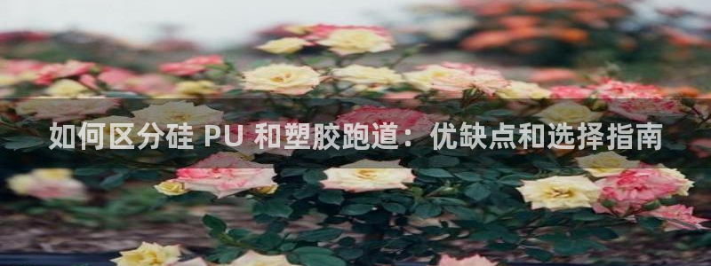 红足一1世666814足球：如何区分硅 PU 和塑胶跑道：优缺点和选择指南
