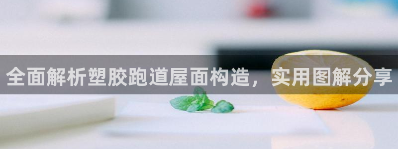 红足1一世 2站：全面解析塑胶跑道屋面构造，实用图解分享