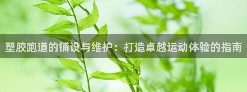 红足一1世77814：塑胶跑道的铺设与维护：打造卓越运动体验的指南