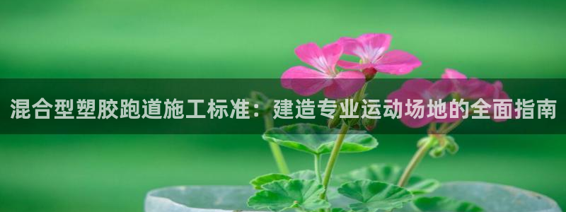 红世一足球比分：混合型塑胶跑道施工标准：建造专业运动场地的全面指南
