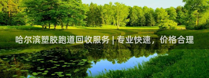 红足一1世：哈尔滨塑胶跑道回收服务 | 专业快速，价格合理