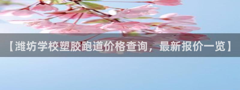 红足一1世开奖记录：【潍坊学校塑胶跑道价格查询，最新报价一览】