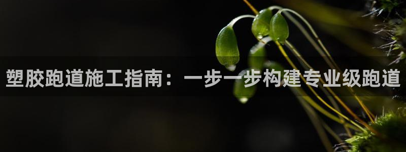 红足一丰：塑胶跑道施工指南：一步一步构建专业级跑道