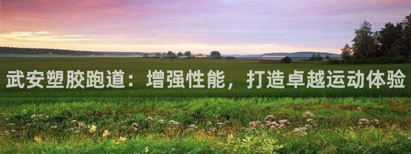 红足一球：武安塑胶跑道：增强性能，打造卓越运动体验
