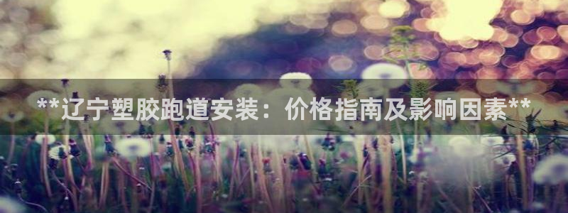 红足1世足球网址：**辽宁塑胶跑道安装：价格指南及影响因素**