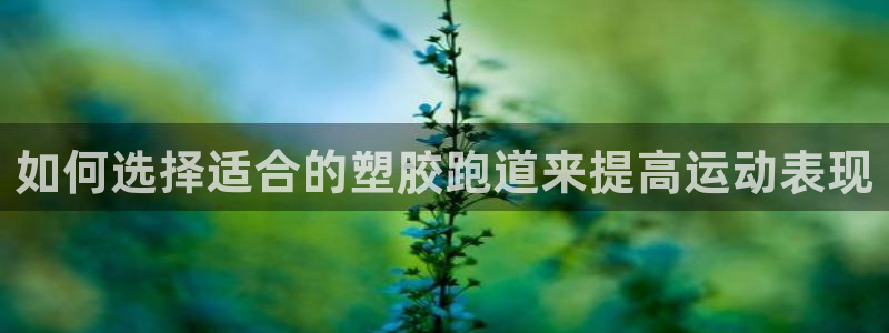 红足1世足球网址：如何选择适合的塑胶跑道来提高运动表现