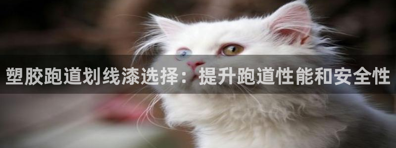 红足1世手机下载：塑胶跑道划线漆选择：提升跑道性能和安全性