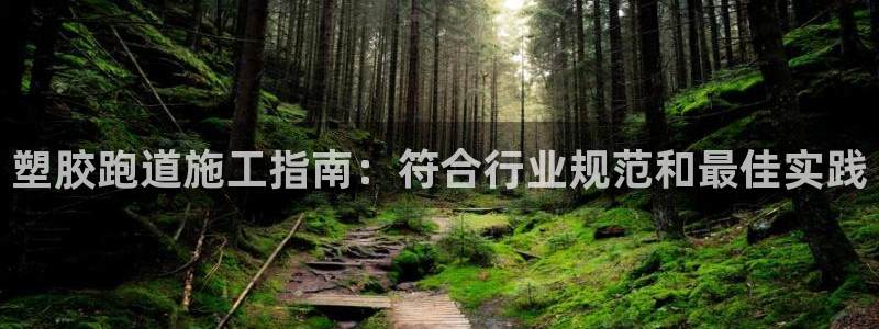 红足一1世平台：塑胶跑道施工指南：符合行业规范和最佳实践