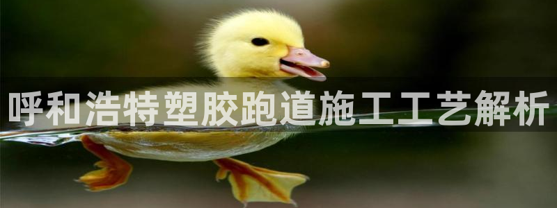 红足1世官网：呼和浩特塑胶跑道施工工艺解析