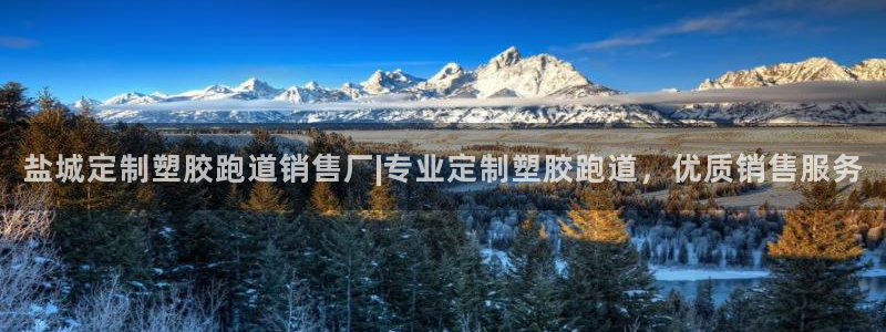 红足1世1站2站管理网：盐城定制塑胶跑道销售厂|专业定制塑胶跑道，优质销售服务