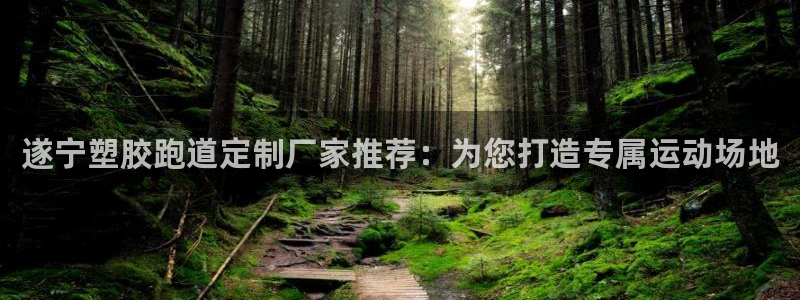红足i世足球手机网：遂宁塑胶跑道定制厂家推荐：为您打造专属运动场地