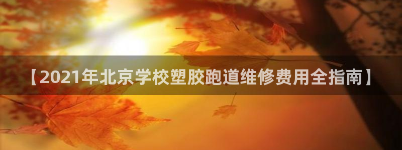 红足1世手足球比分：【2021年北京学校塑胶跑道维修费用全指南】