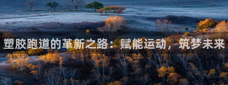 红足1世开奖预测：塑胶跑道的革新之路：赋能运动，筑梦未来