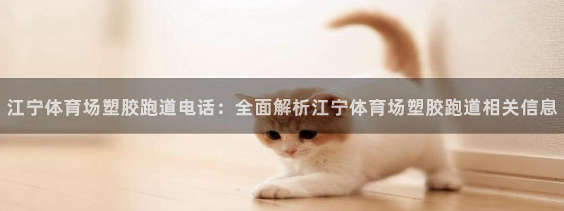 777814红·足一世：江宁体育场塑胶跑道电话：全面解析江宁体育场塑胶跑道相关信息