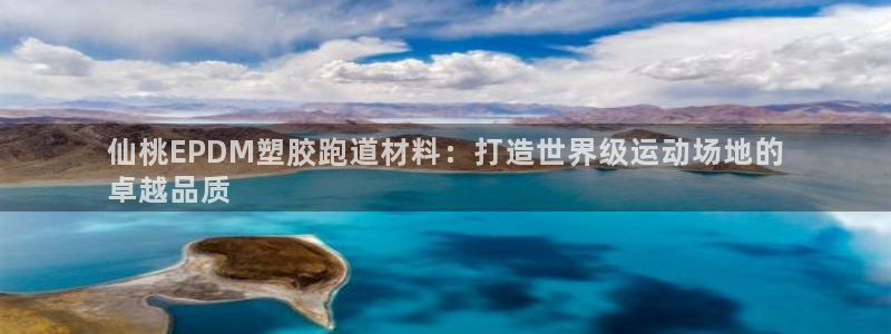 红足一1世手机版赛果：仙桃EPDM塑胶跑道材料：打造世界级运动场地的
卓越品质