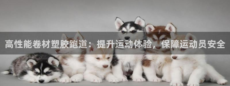 红足1世1站：高性能卷材塑胶跑道：提升运动体验，保障运动员安全