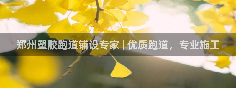 红足1一世 2站：郑州塑胶跑道铺设专家 | 优质跑道，专业施工
