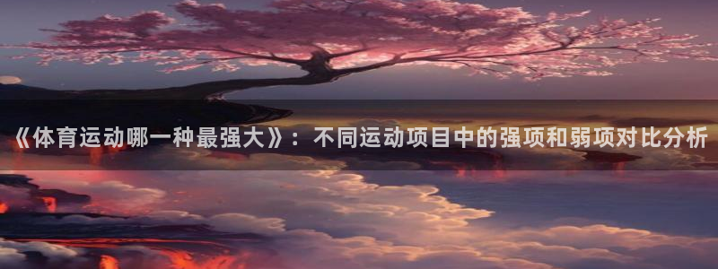 球速体育
