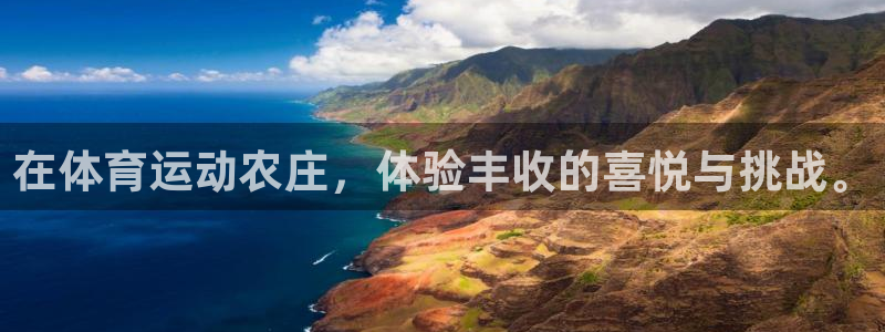 球速体育
