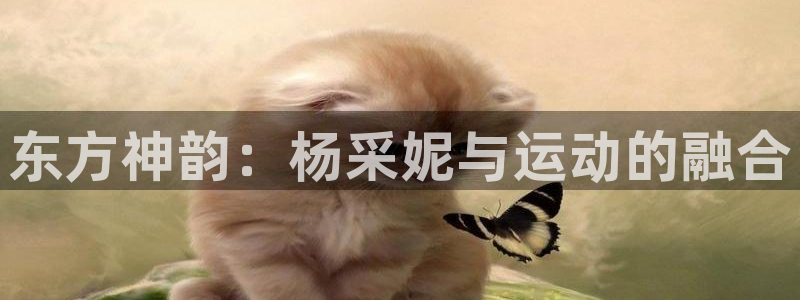 球速体育