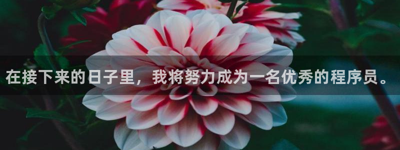 球速体育