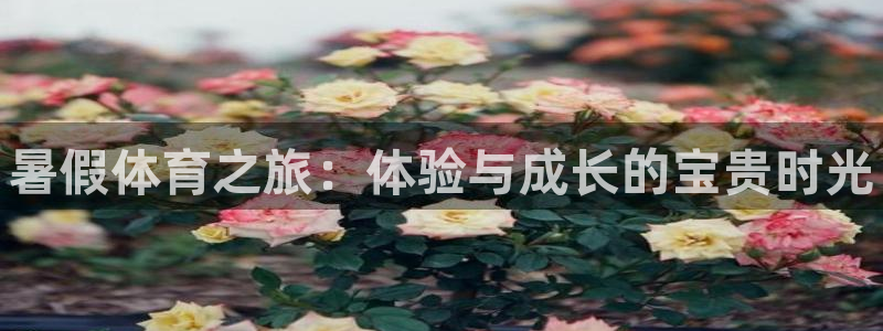 球速体育