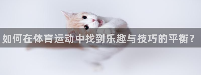 球速体育
