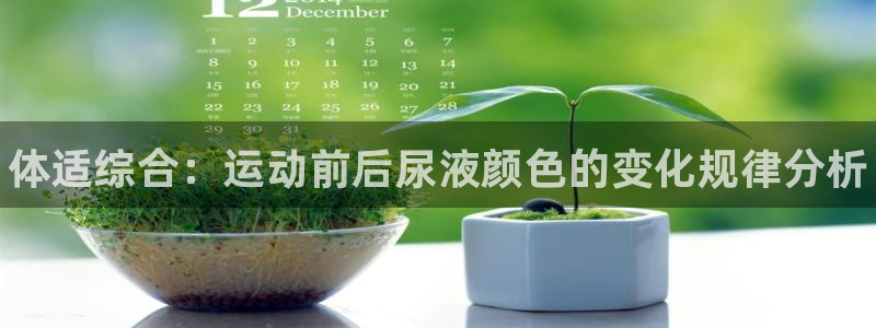 球速体育