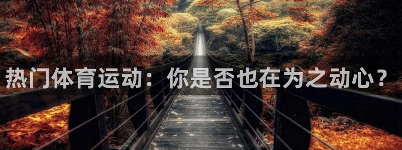 球速体育