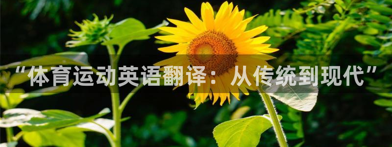 球速体育