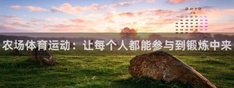 球速体育