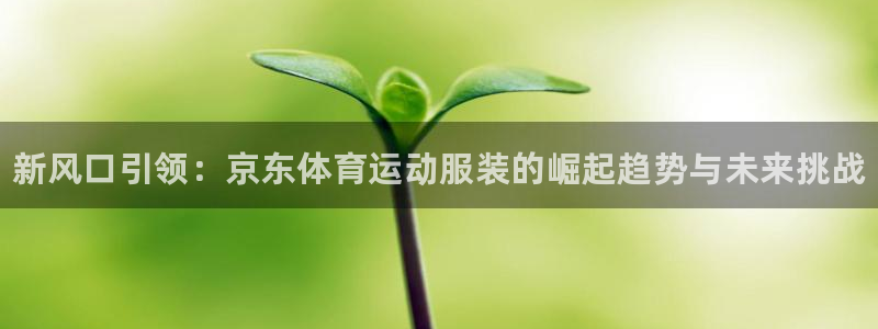 球速体育
