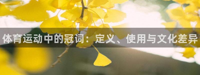 球速体育