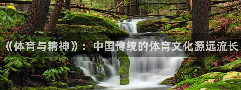 球速体育