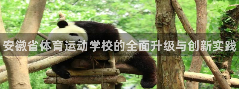 球速体育