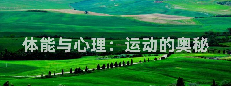 球速体育