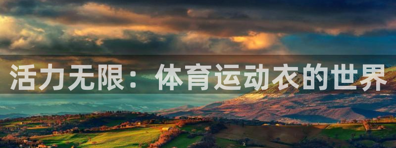 球速体育
