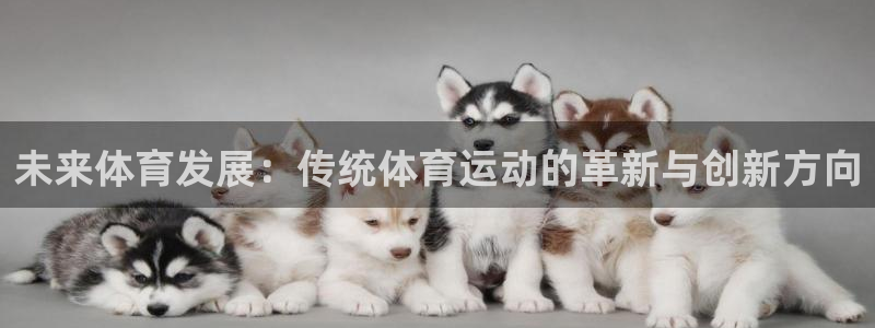 球速体育
