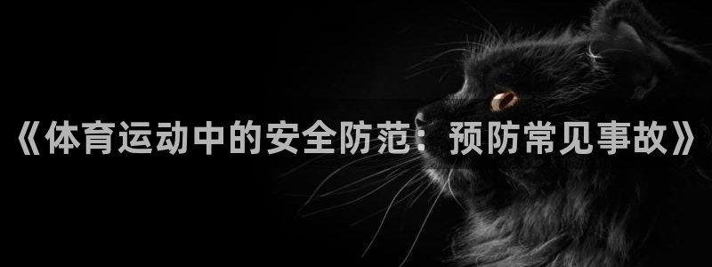 球速体育