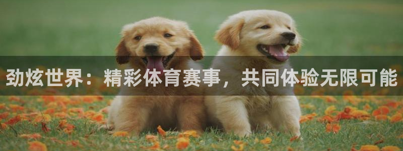 球速体育