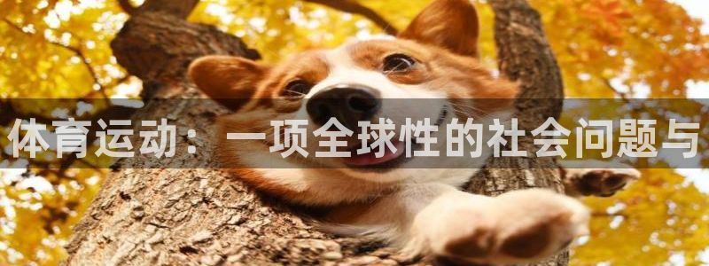 球速体育