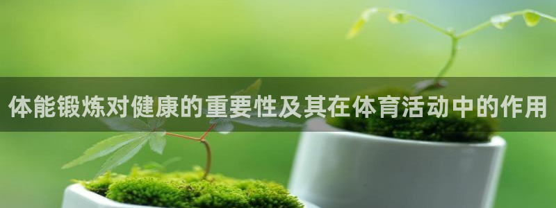球速体育