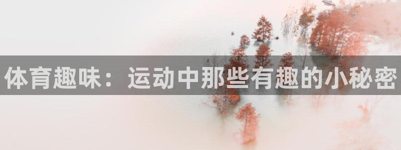 球速体育