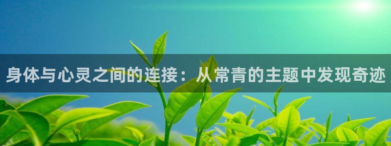 球速体育