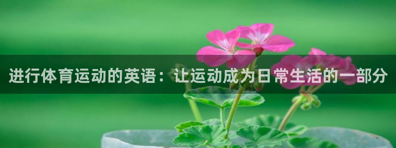 球速体育