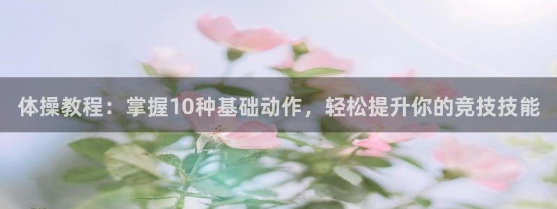 球速体育