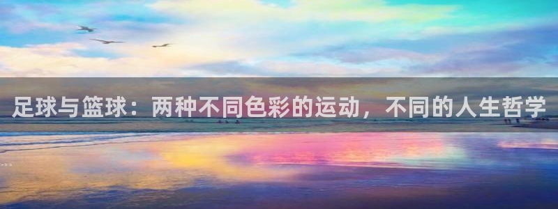 球速体育